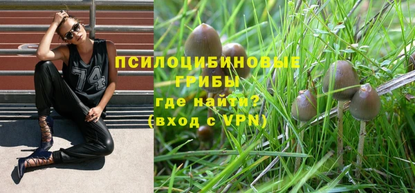 jwh Богородицк