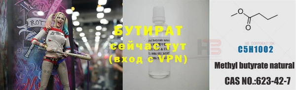 МДПВ Бородино