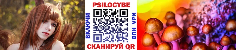 Галлюциногенные грибы Magic Shrooms  Жиздра 